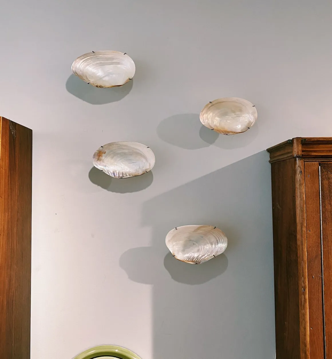 Anna + Nina Decoratie | Bali Shell Wall Object