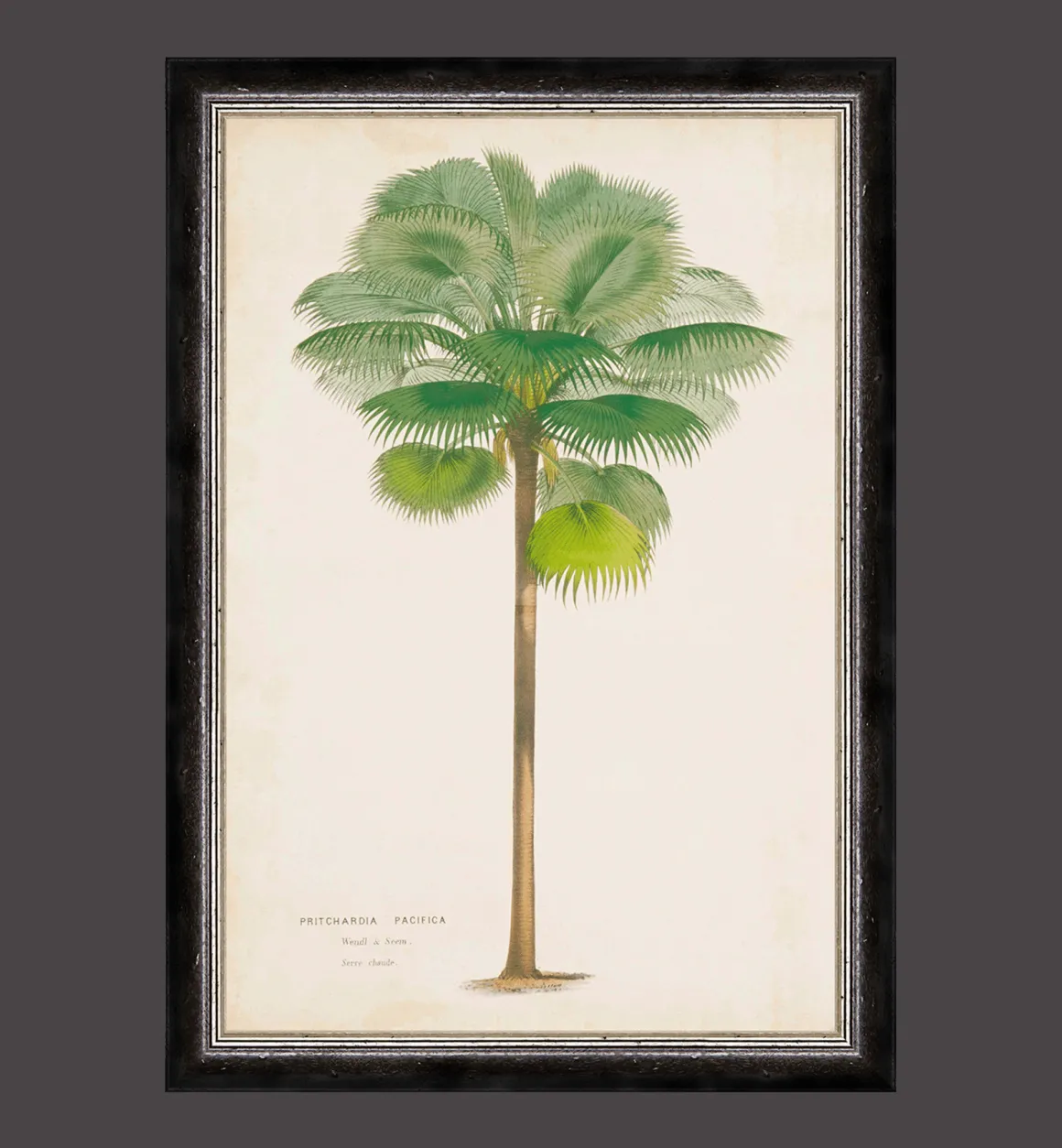 G&C Kunst | Decoratie | Palm Painting