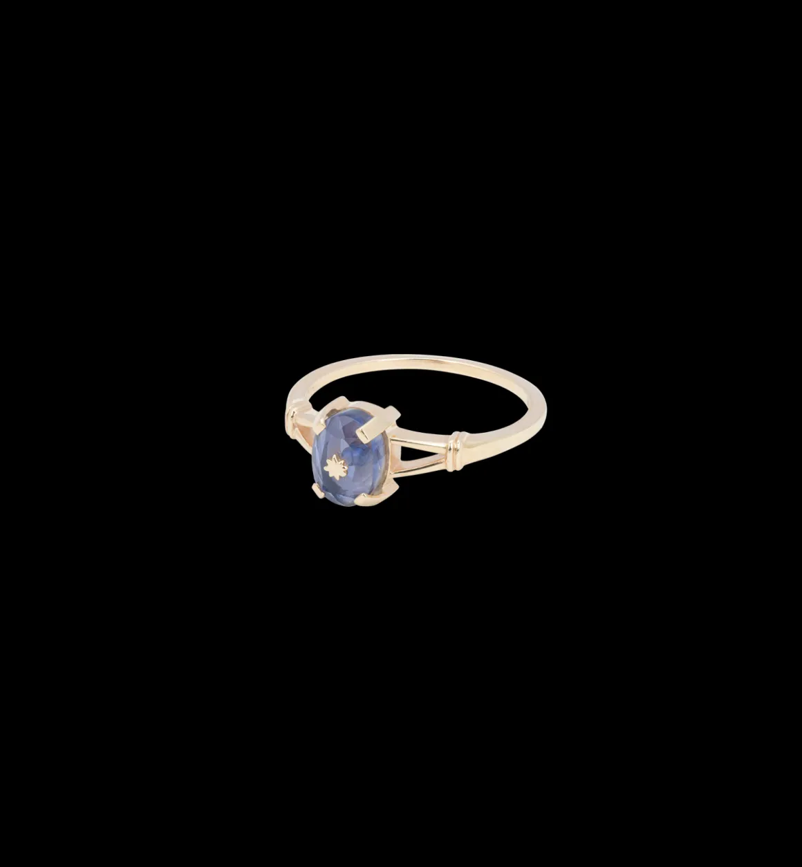 Anna + Nina 14K Goud | Voor Je Partner | Lucky Fortune Star Ring 14K Geelgoud