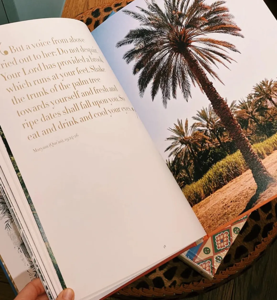 Assouline Boeken | Voor Moeders | Saudi Dates: A Portrait Of The Sacred Fruit