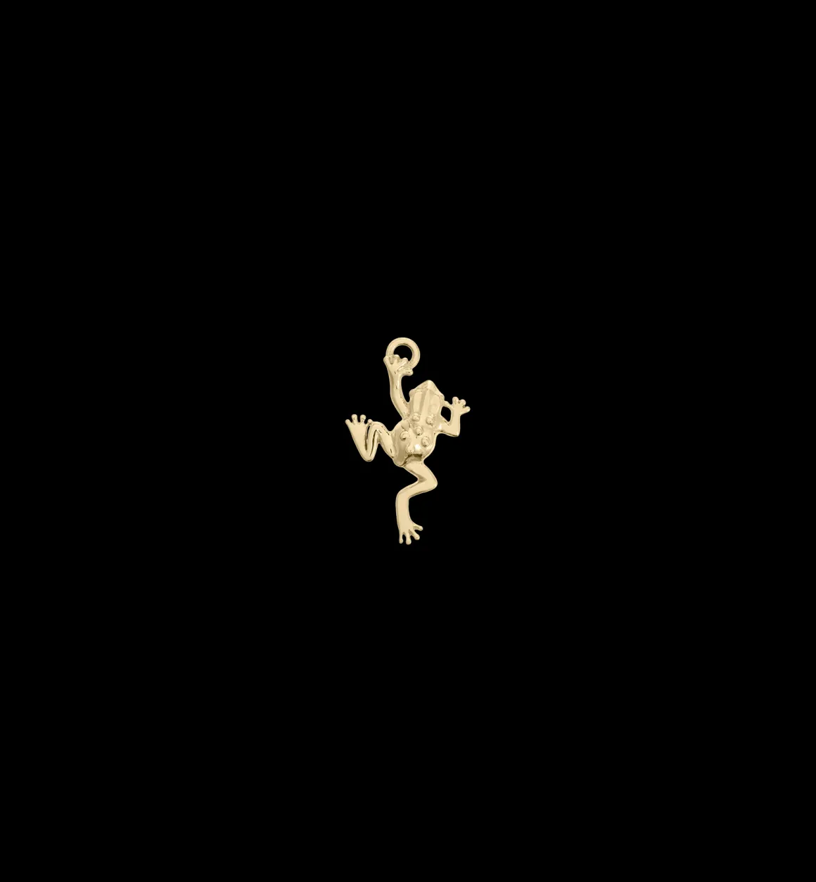 Anna + Nina 14K Goud | Voor Kinderen | Tiny Froggy Charm 14K